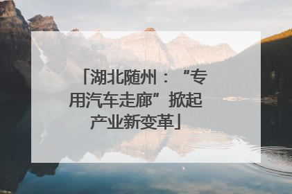 湖北随州：“专用汽车走廊”掀起产业新变革