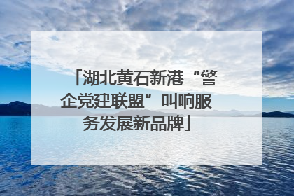 湖北黄石新港“警企党建联盟”叫响服务发展新品牌