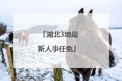 湖北3地最新人事任免