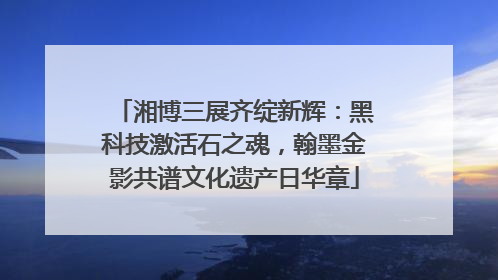 湘博三展齐绽新辉：黑科技激活石之魂，翰墨金影共谱文化遗产日华章