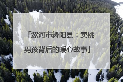 漯河市舞阳县：卖桃男孩背后的暖心故事
