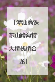 漳汕高铁东山跨海特大桥栈桥合龙