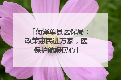 菏泽单县医保局：政策惠民进万家，医保护航暖民心