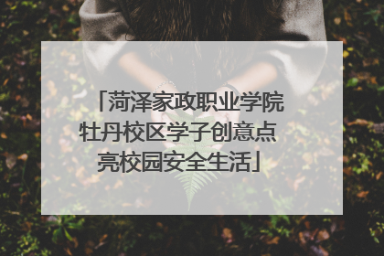 菏泽家政职业学院牡丹校区学子创意点亮校园安全生活
