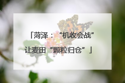 菏泽：“机收会战”让麦田“颗粒归仓”