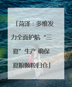 菏泽：多维发力全面护航“三夏”生产 确保夏粮颗粒归仓