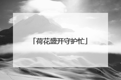荷花盛开守护忙