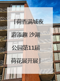 荷香满城夜游添趣 沙湖公园第11届荷花展开展