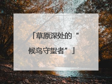 草原深处的“候鸟守望者”