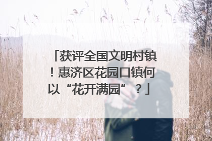 获评全国文明村镇！惠济区花园口镇何以“花开满园”？
