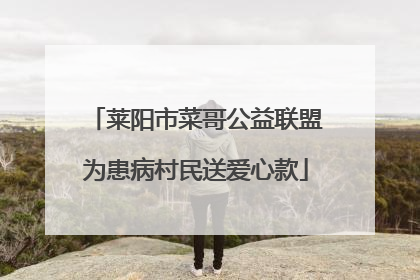 莱阳市菜哥公益联盟为患病村民送爱心款