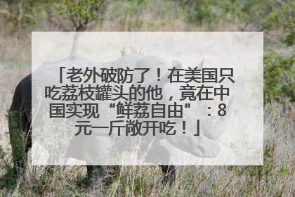 老外破防了！在美国只吃荔枝罐头的他，竟在中国实现“鲜荔自由”：8元一斤敞开吃！