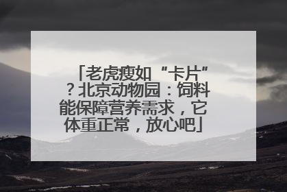 老虎瘦如“卡片”？北京动物园：饲料能保障营养需求，它体重正常，放心吧