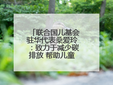 联合国儿基会驻华代表桑爱玲：致力于减少碳排放 帮助儿童适应气候变化