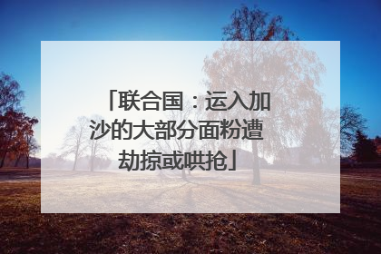 联合国：运入加沙的大部分面粉遭劫掠或哄抢