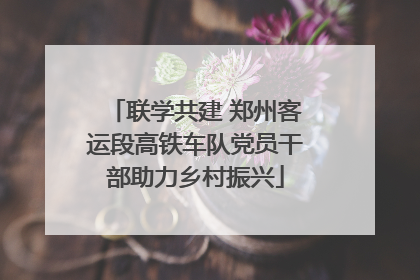 联学共建 郑州客运段高铁车队党员干部助力乡村振兴