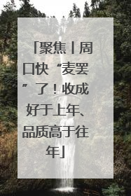 聚焦丨周口快“麦罢”了!收成好于上年、品质高于往年