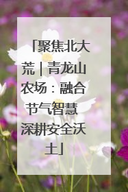聚焦北大荒｜青龙山农场：融合节气智慧 深耕安全沃土