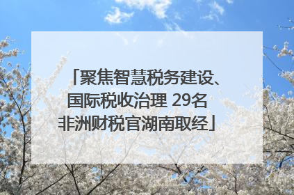 聚焦智慧税务建设、国际税收治理 29名非洲财税官湖南取经