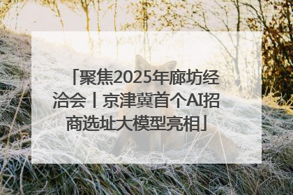 聚焦2025年廊坊经洽会丨京津冀首个AI招商选址大模型亮相