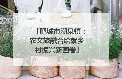 肥城市潮泉镇：农文旅融合绘就乡村振兴新画卷
