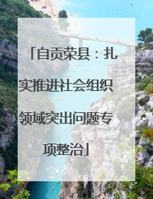 自贡荣县：扎实推进社会组织领域突出问题专项整治