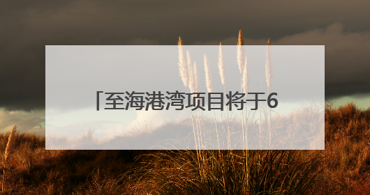 至海港湾项目将于6月28日盛大开业！