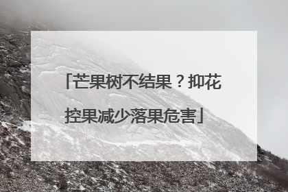 芒果树不结果？抑花控果减少落果危害