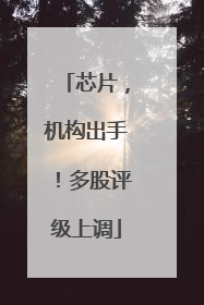 芯片，机构出手！多股评级上调