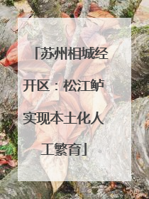 苏州相城经开区：松江鲈实现本土化人工繁育