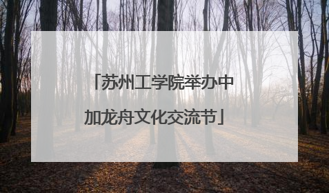 苏州工学院举办中加龙舟文化交流节