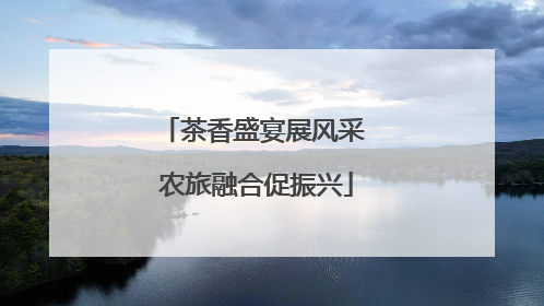 茶香盛宴展风采 农旅融合促振兴