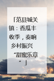 范县城关镇：香瓜丰收季，奏响乡村振兴 “甜蜜乐章”