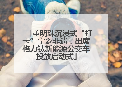 董明珠沉浸式“打卡”宁乡非遗，出席格力钛新能源公交车投放启动式