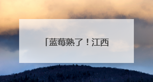 蓝莓熟了！江西宜春这家蓝莓基地迎来采摘旺季