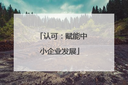 认可：赋能中小企业发展