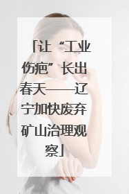 让“工业伤疤”长出春天——辽宁加快废弃矿山治理观察