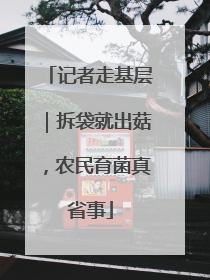 记者走基层｜拆袋就出菇，农民育菌真省事