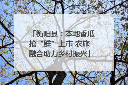 衡阳县：本地香瓜抢“鲜”上市 农旅融合助力乡村振兴