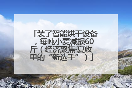 装了智能烘干设备，每吨小麦减损60斤（经济聚焦·夏收里的“新选手”）