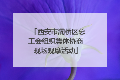 西安市灞桥区总工会组织集体协商现场观摩活动