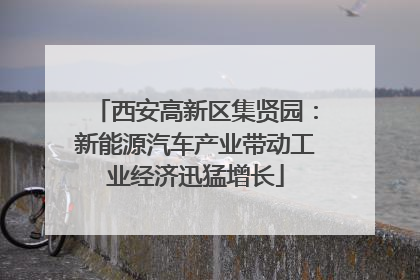 西安高新区集贤园：新能源汽车产业带动工业经济迅猛增长