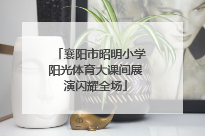 襄阳市昭明小学阳光体育大课间展演闪耀全场