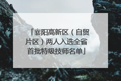襄阳高新区（自贸片区）两人入选全省首批特级技师名单