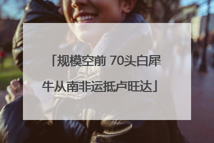 规模空前 70头白犀牛从南非运抵卢旺达