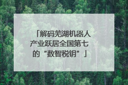 解码芜湖机器人产业跃居全国第七的“数智税钥”
