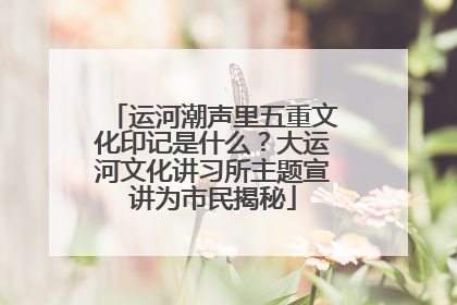 运河潮声里五重文化印记是什么？大运河文化讲习所主题宣讲为市民揭秘