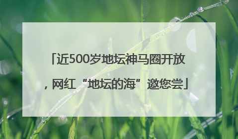 近500岁地坛神马圈开放，网红“地坛的海”邀您尝