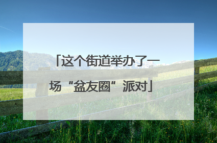 这个街道举办了一场“盆友圈”派对