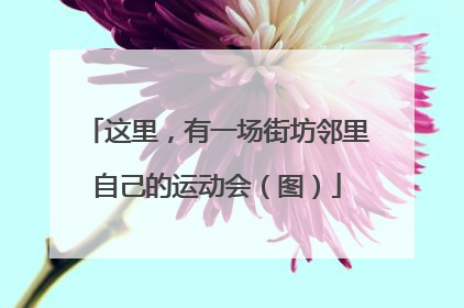 这里，有一场街坊邻里自己的运动会（图）